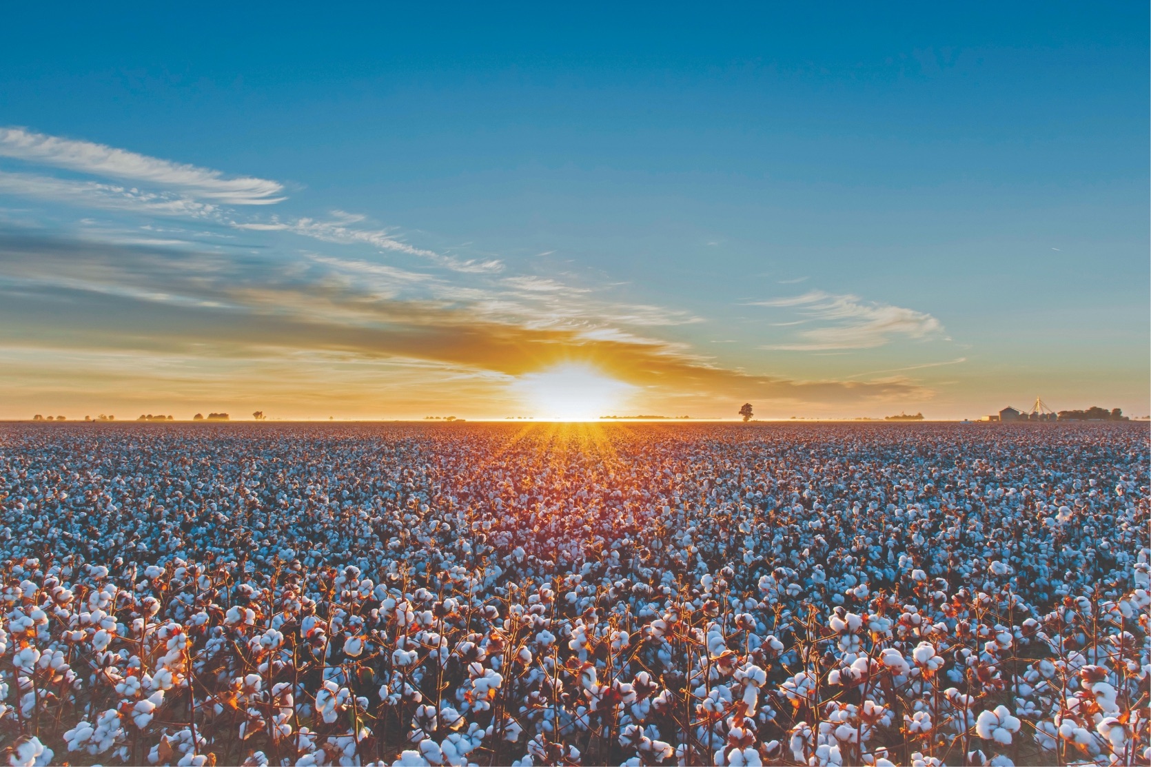 Is It Healthier To Wear Cotton